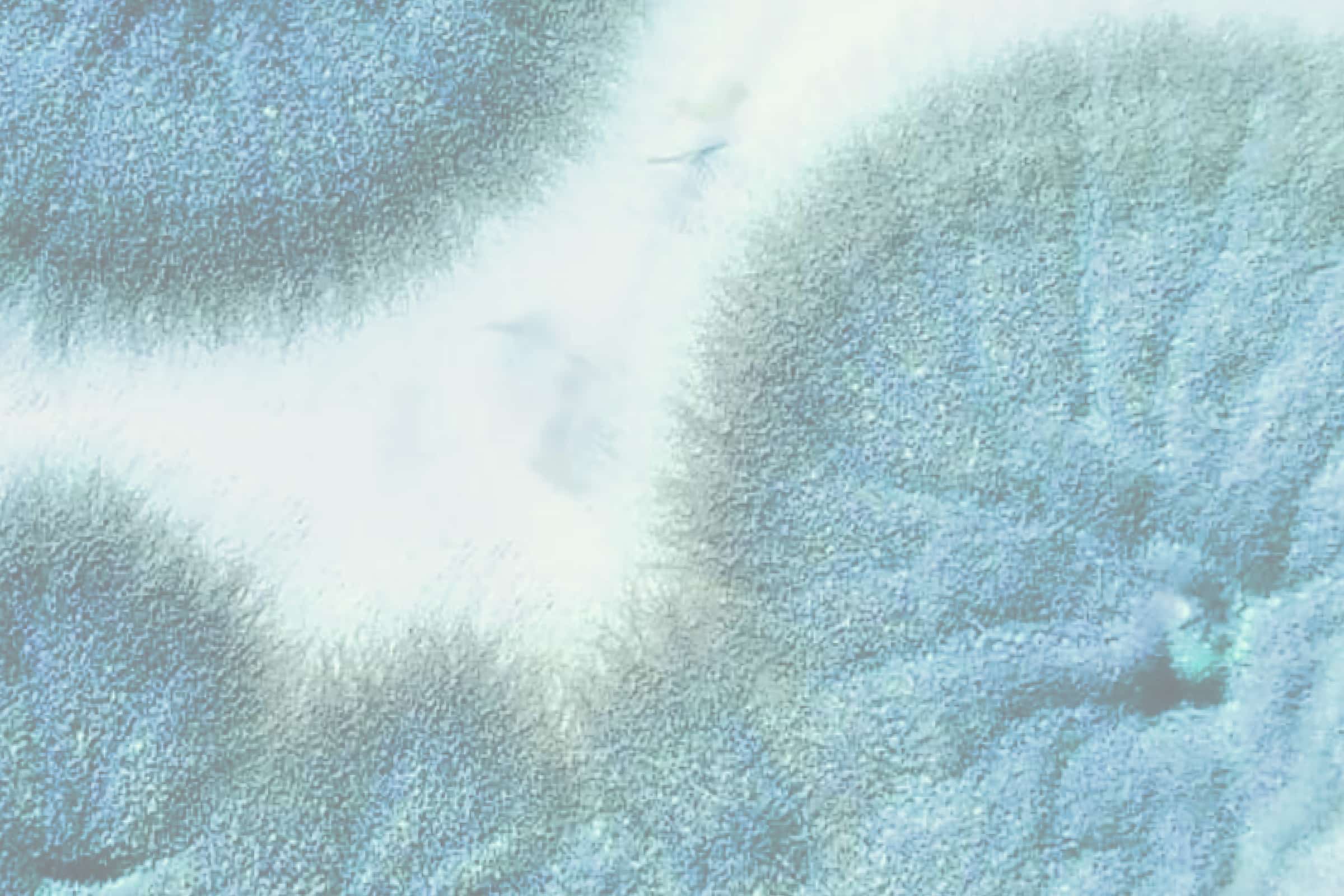 Can Chlamydia Be Dormant? Evvy